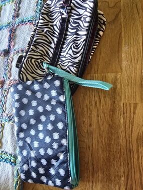 Zebra Print Cosmetic Bag & Patterned Wristlet Set — Black, White, Teal